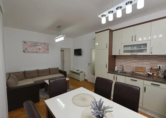 Capitol Apartament *